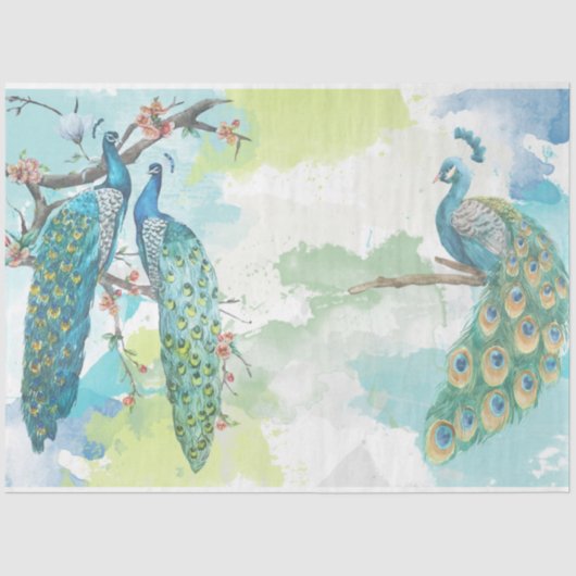 Papier Mousseline Ephémère Peacock 2 (Recto)