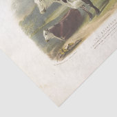 Papier Mousseline Éphémère vaches Brown Découpage ferme Vintage (Détail)