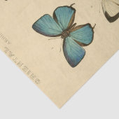 Papier Mousseline Éphémère vintage Script Bleu Papillon Découpage (Détail)