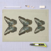 Papier Mousseline Éphémère vintage Script Bleu Papillon Découpage (Artisanat)