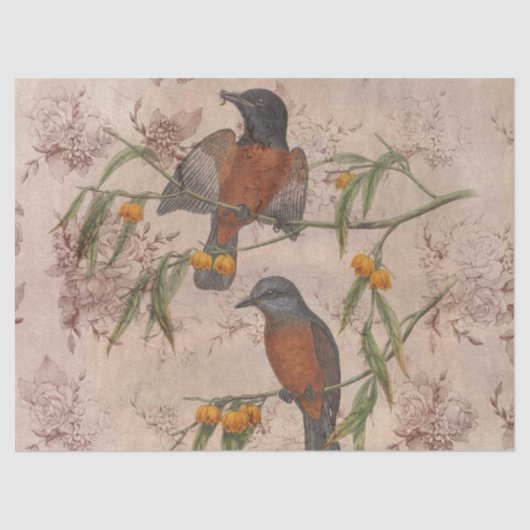 Papier Mousseline Ephémérite Birds Series Design Trois (Recto)