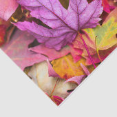 Papier Mousseline Érable d'automne feuille coloré nature d'automne (Détail)