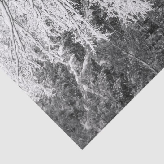 Papier Mousseline Érable En Neige (Détail)