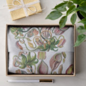 Papier Mousseline Ernst Haeckel Kunstformen der Natur Nepenthaceae P (Cadeau)