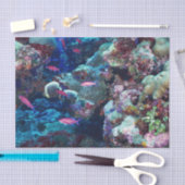 Papier Mousseline Espèce marine tropicale (Artisanat)