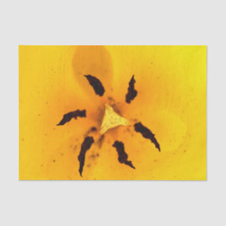 Papier Mousseline Étamine et pollen de tulipe