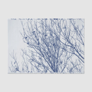 Papier Mousseline Étourneaux dans un arbre - effet de Cyanotype