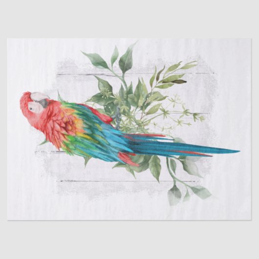 Papier Mousseline Eucalyptus du perroquet macaw (Recto)