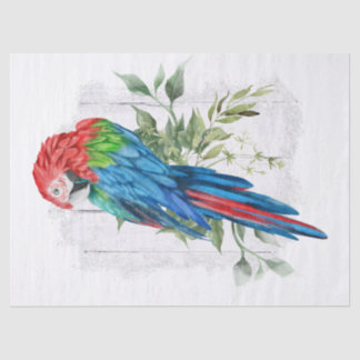 Papier Mousseline Eucalyptus du perroquet macaw