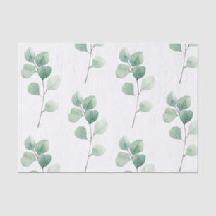Papier Mousseline Eucalyptus Motif vert