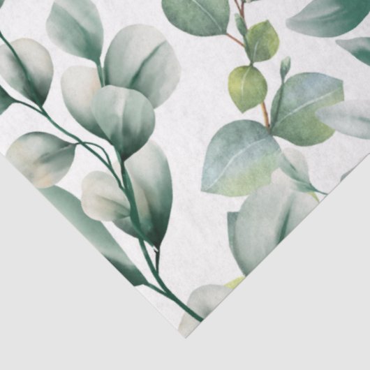 Papier Mousseline Eucalyptus vert (Détail)