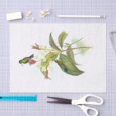 Papier Mousseline Eucephala caerulea (saphir à poils bleus) (Artisanat)