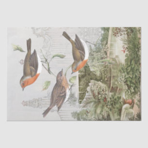 Papier Mousseline European Robin Bird Garden Découpage Vintage