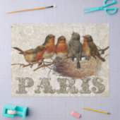 Papier Mousseline European Robin Birds Nest Paris Decoupage (Artisanat)