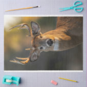 Papier Mousseline Face de cerf (Artisanat)