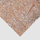 Papier Mousseline Faisan à collier  (Détail)