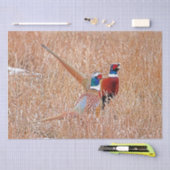 Papier Mousseline Faisan à collier  (Artisanat)