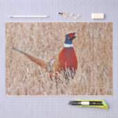 Papier Mousseline Faisan à collier  (Artisanat)