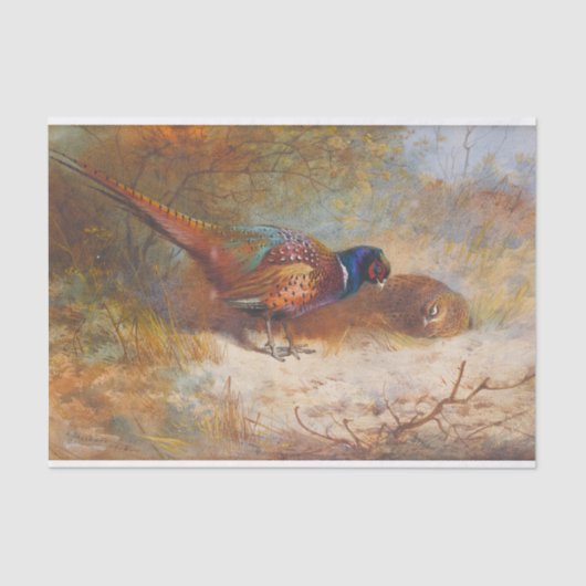 Papier Mousseline faisans par Archibald Thorburn (Recto)