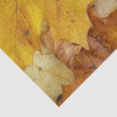 Papier Mousseline Fallen Maple Feuille Jaune Automne Nature (Détail)