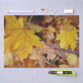 Papier Mousseline Fallen Maple Feuille Jaune Automne Nature (Artisanat)
