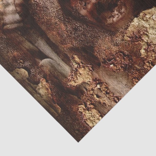 Papier Mousseline Falln a emprisonné en dedans (Détail)