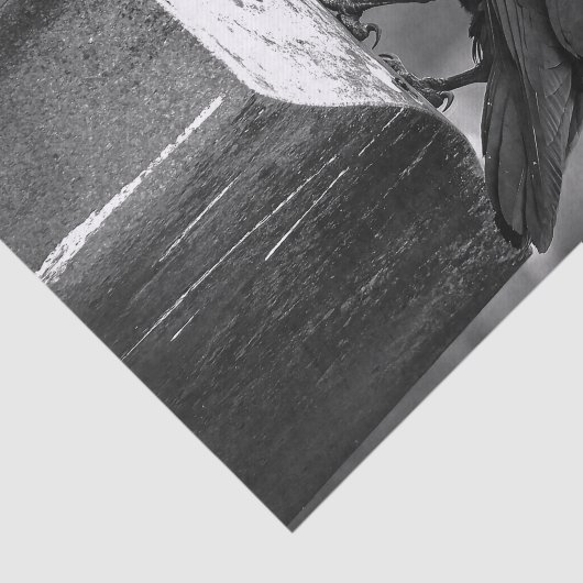 Papier Mousseline Falln a trouvé une plume (Détail)