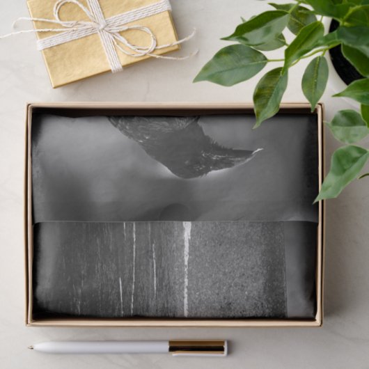 Papier Mousseline Falln a trouvé une plume (Cadeau)