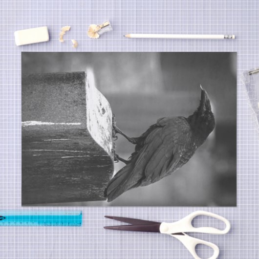 Papier Mousseline Falln a trouvé une plume (Artisanat)