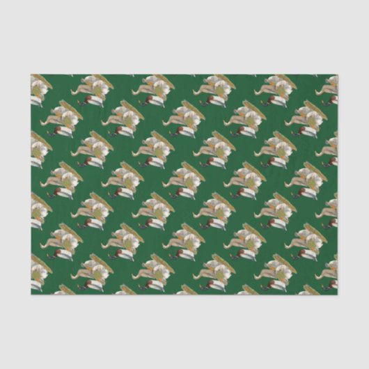 Papier Mousseline Famille de canards de Saxe (Recto)