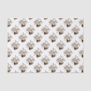 Papier Mousseline Famille de Lynx roux