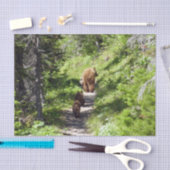 Papier Mousseline Famille d'ours Brown (Artisanat)