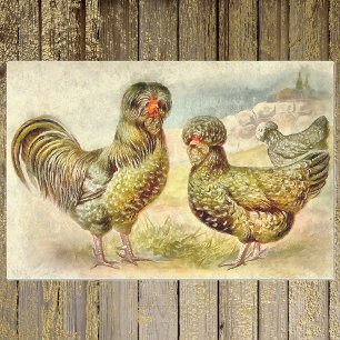 Papier Mousseline Fantastique Ferme Française Houdan Poulets Faux Aq