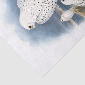 Papier Mousseline Faucon groenlandais, découpage (Détail)