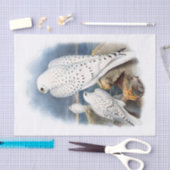 Papier Mousseline Faucon groenlandais, découpage (Artisanat)