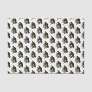 Papier Mousseline Faucons stylisés vintage sur une branche