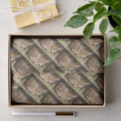 Papier Mousseline Faune (Cadeau)