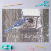 Papier Mousseline Faune Blue Jay Noël Grey Tissue (Artisanat)