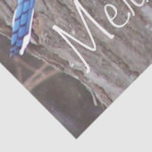 Papier Mousseline Faune Blue Jay Noël Grey Tissue (Détail)