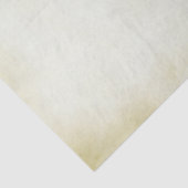 Papier Mousseline Faux Vintage Parchment style occidental (Détail)