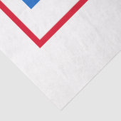 Papier Mousseline Felon Anti-Trump (Détail)