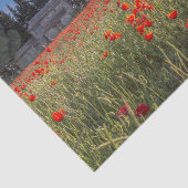 Papier Mousseline Ferme en pierre avec terrain de tulipe rouge rubis (Détail)