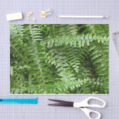 Papier Mousseline Fermer Fronds I Green Nature (Artisanat)