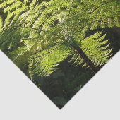 Papier Mousseline Ferne arborescente dans la forêt tropicale (Détail)