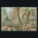 Papier Mousseline Ferns, Filicinae Laubfarne par Ernst Haeckel<br><div class="desc">Ferns,  Filicinae Laubfarne par Ernst Haeckel Tissue Paper</div>