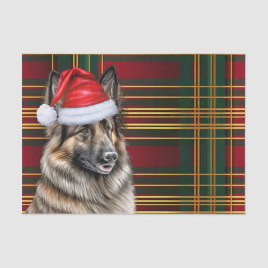 Papier Mousseline Festif Belge Tervuren Chien Plaid Noël (Recto)