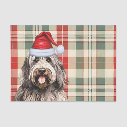 Papier Mousseline Festif Bergamasco Chien Plaid Noël (Recto)