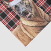 Papier Mousseline Festif Red Plaid Belge Malinois Chien Noël (Détail)
