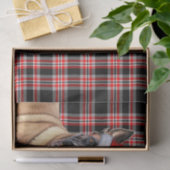 Papier Mousseline Festif Red Plaid Belge Malinois Chien Noël (Cadeau)