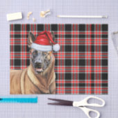 Papier Mousseline Festif Red Plaid Belge Malinois Chien Noël (Artisanat)